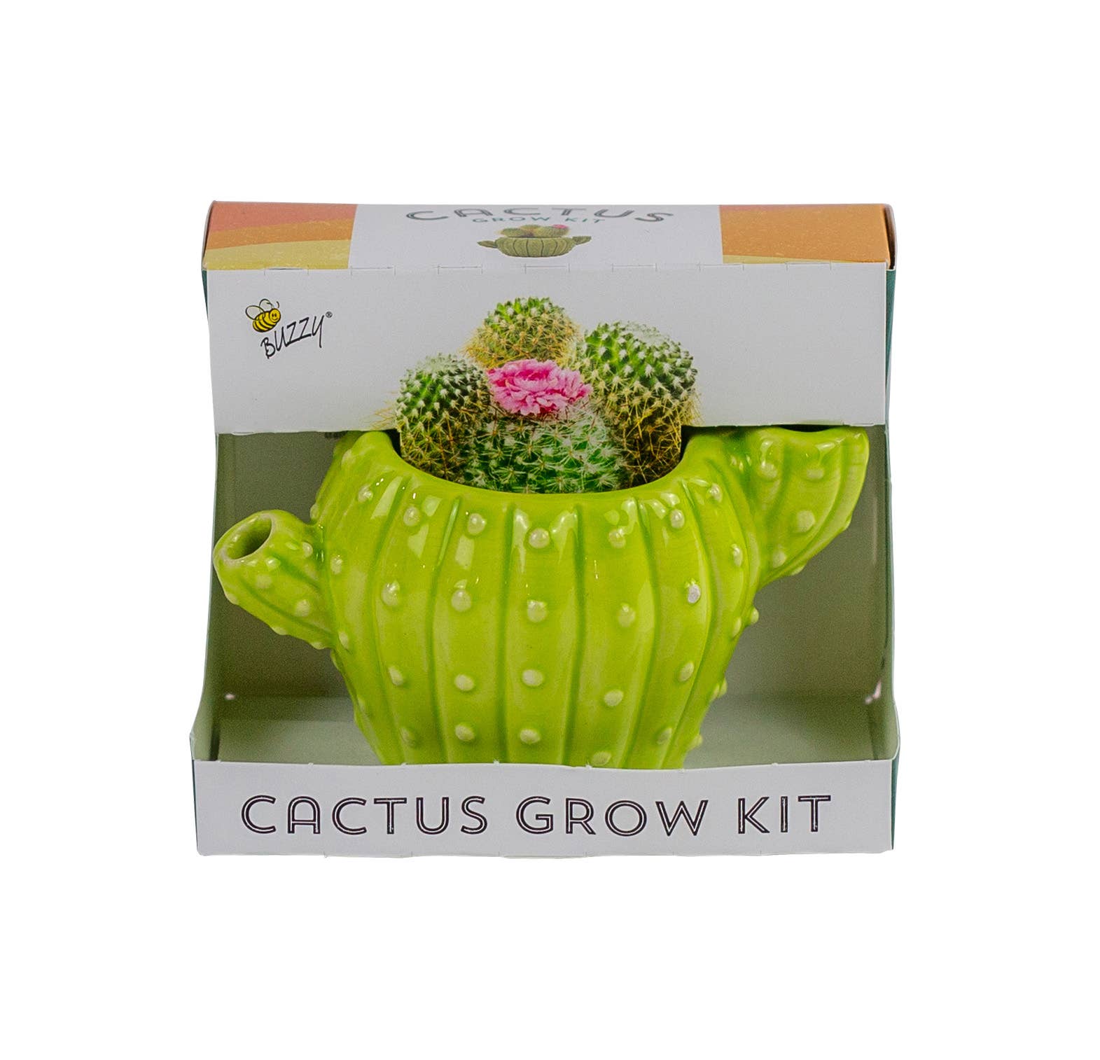 Buzzy Seeds Cactus Grow Kit