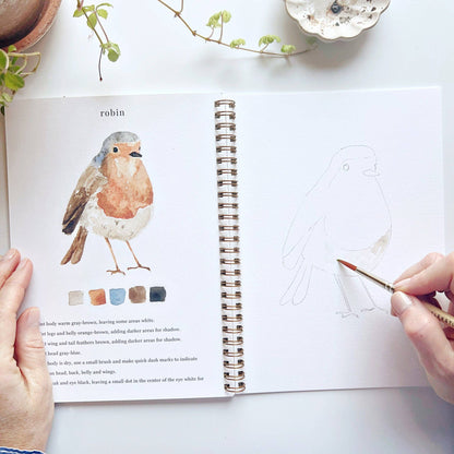 Birds watercolor workbook