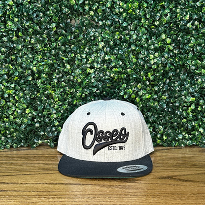 Osseo City Snapbacks