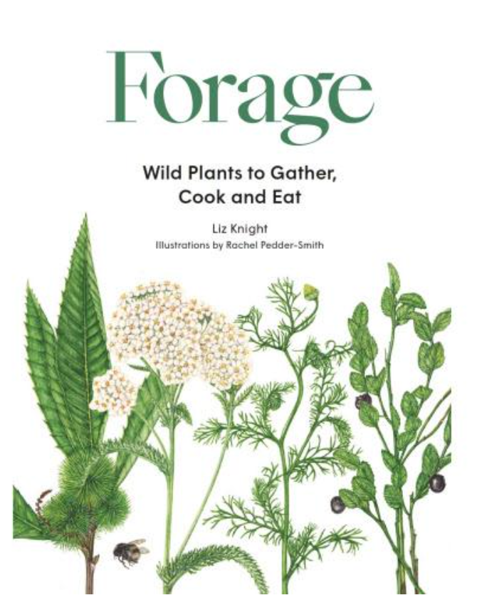 Forage